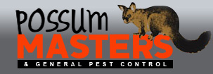 Melbourne Possum Master - General Pest Control